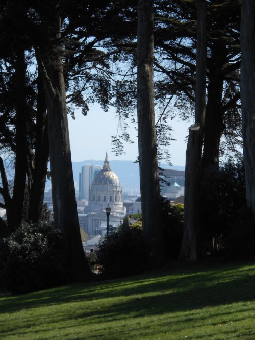 City Hall from Alamo SquareSMALL