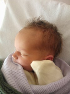 Photo ©Miranda Dickinson 2014